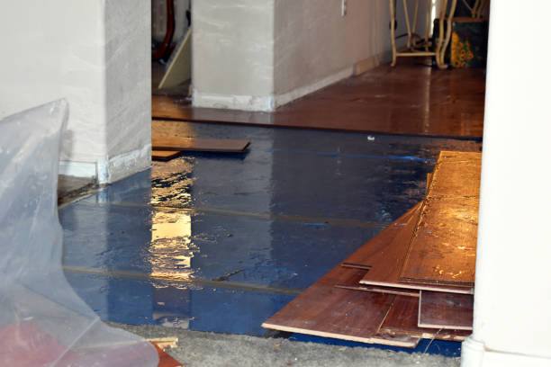 Professional Water Damage Restoration technician working in Point, TX